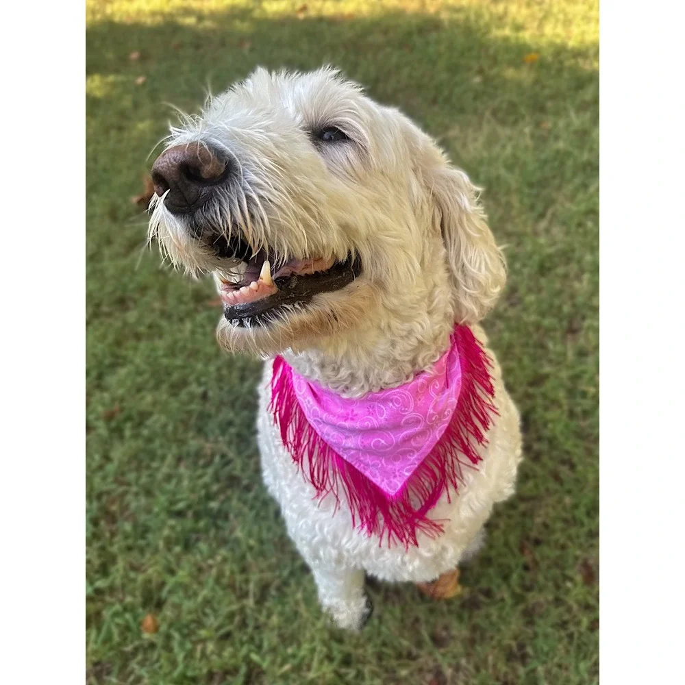Disco Cowgirl Pink Glitter Fringe Dog Bandana Handmade Western Pet Accessory